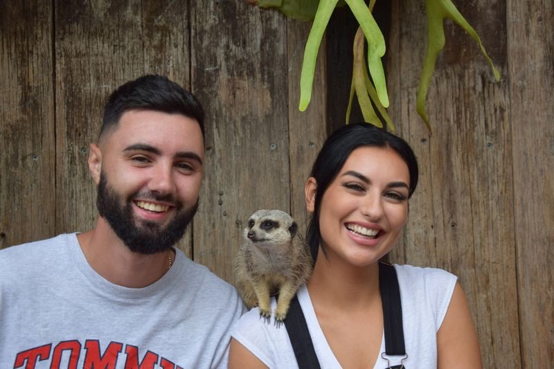 Mogo Wildlife Park Ticket - Should you book Mogo Wildlife Park?