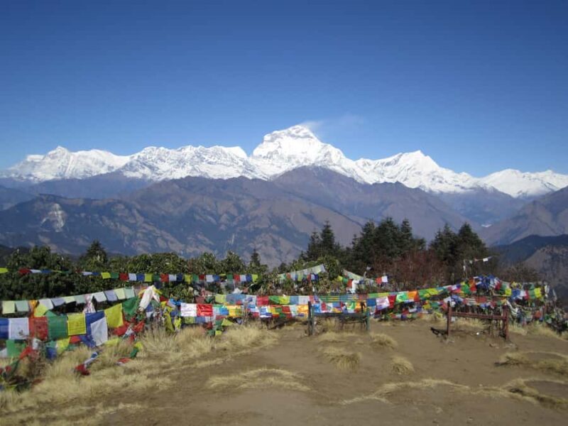 Mohare Danda - Ghorepani - Poon Hill Trek - 7 Days - Authentic Experience with Genuine Value