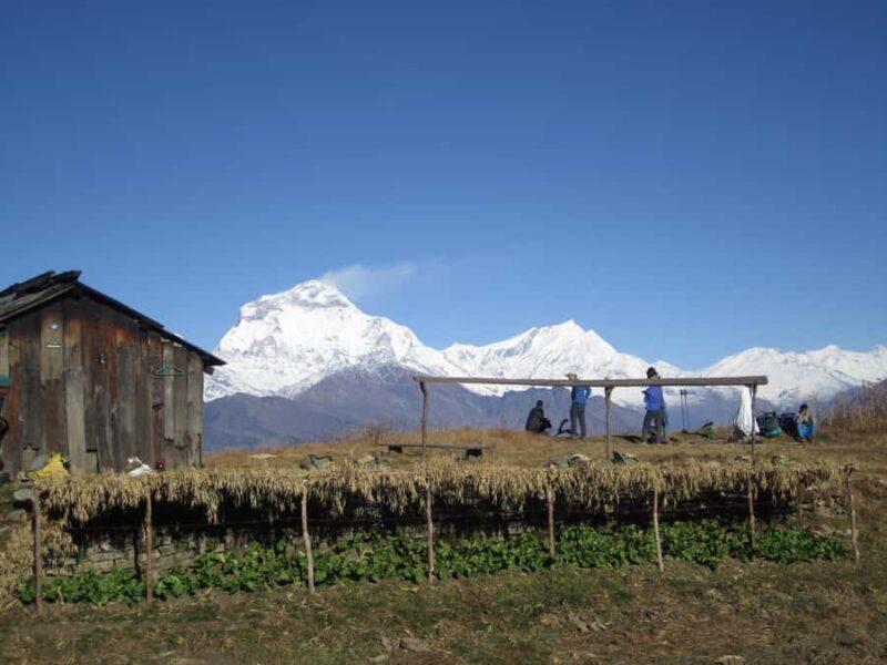 Mohare Danda - Ghorepani - Poon Hill Trek - 7 Days - FAQ