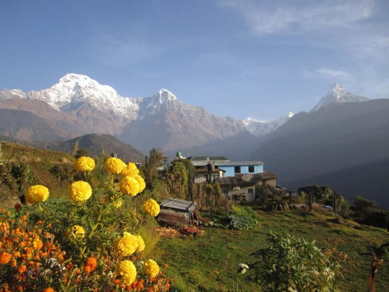 Mohare Danda - Ghorepani - Poon Hill Trek - 7 Days - Good To Know