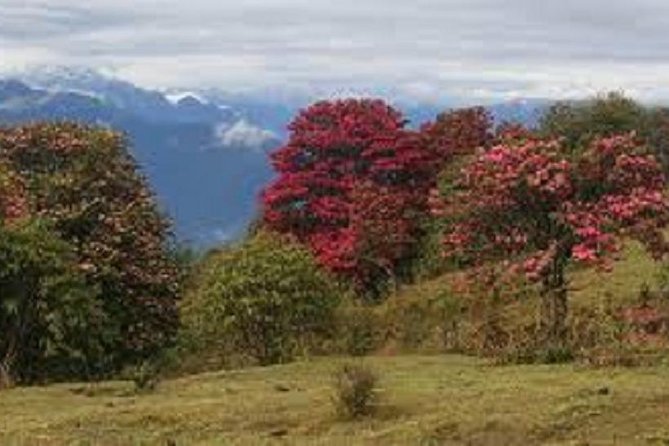 Mohare Danda Panorama Trek - Best Time to Visit