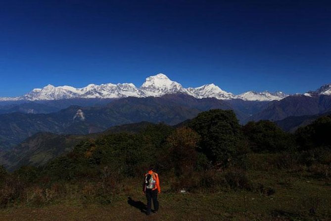 Mohare Danda Trek - The Sum Up
