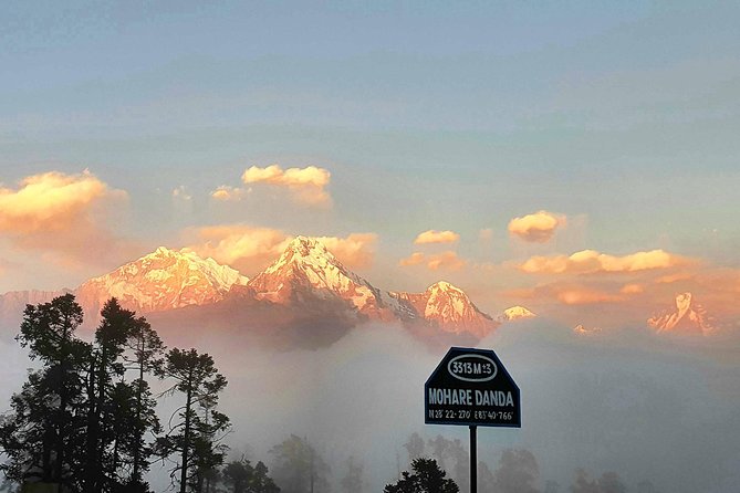 Mohare Danda Trek - Included Services