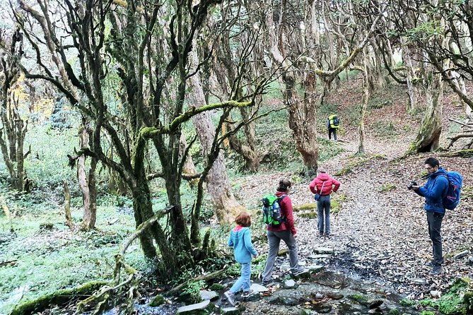 Mohare Danda Trek - Itinerary Highlights