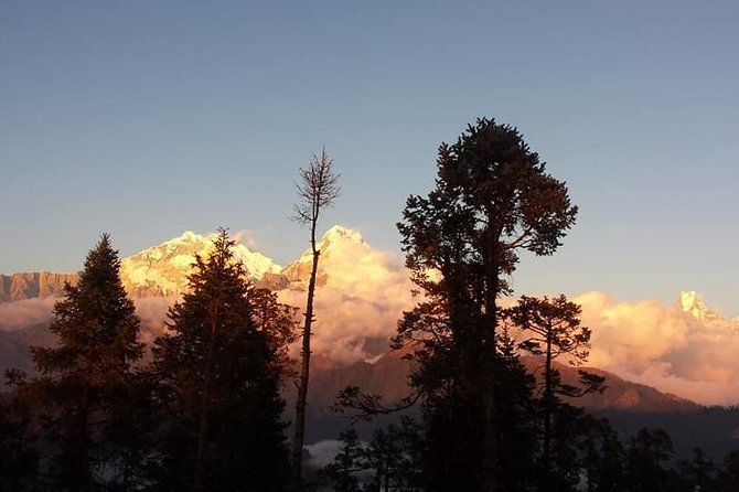 Mohare Danda Trek Short yet Scenic Trek in Nepal - Overview and Logistics