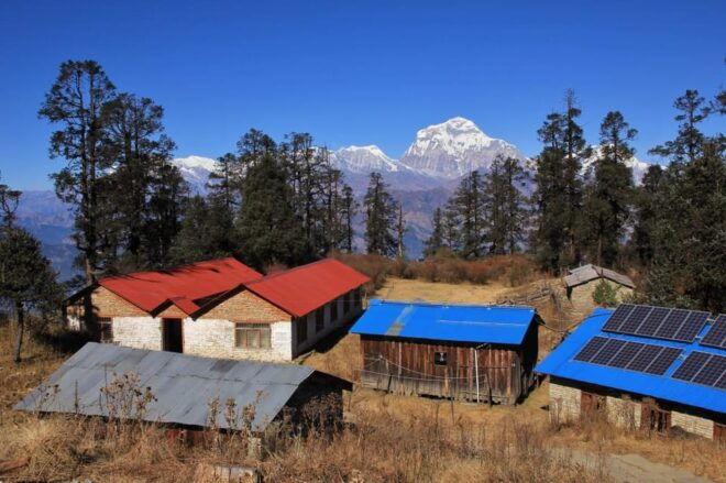 Mohare Danda Trek With Children - Trekking Experience