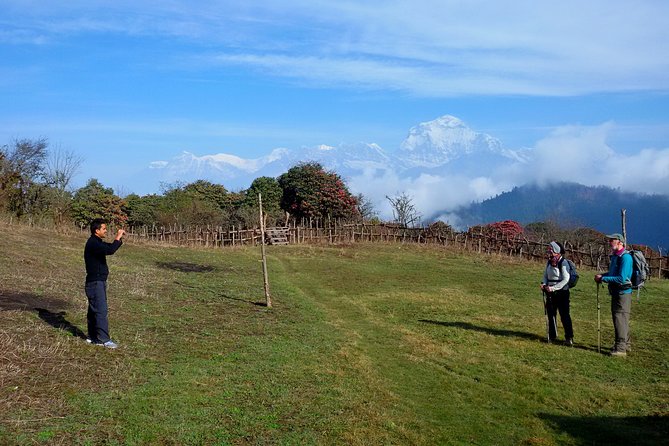 Mohare Danda Trek World Best Natural Trail - Trek Overview