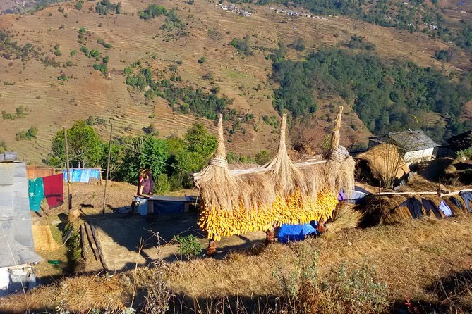 Mohare Danda Trek World Best Natural Trail - Trek Itinerary