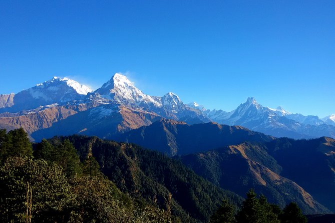 Mohare Danda Trek World Best Natural Trail - Accommodation and Meals