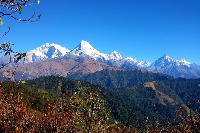 Mohare Danda Trek World Best Natural Trail - Additional Information