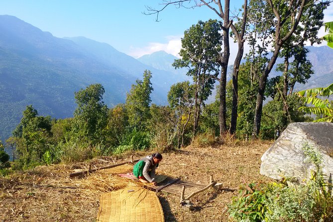 Mohare Danda Trek World Best Natural Trail - The Sum Up