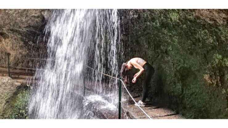 Moinhos Levada: Roundtrip Transfer & Hike - Activity Itinerary