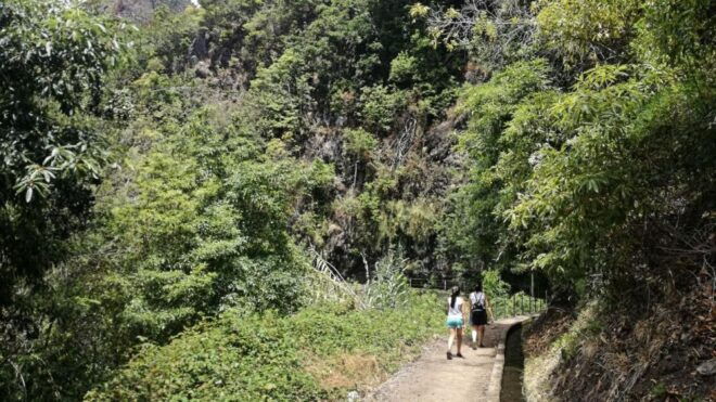 Moinhos Levada: Roundtrip Transfer & Hike - Customer Reviews