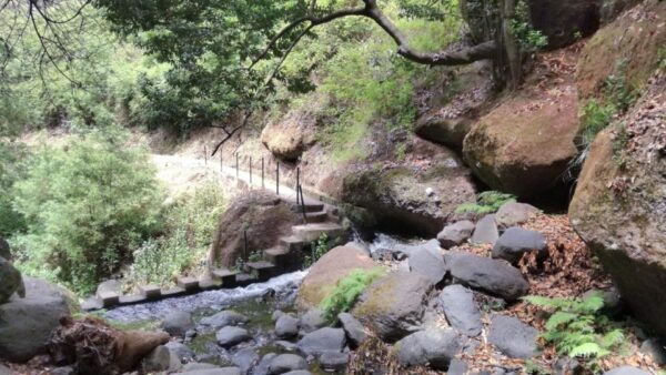 Moinhos Levada: Roundtrip Transfer & Hike - The Sum Up