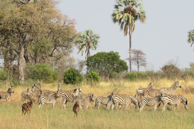 Mokoro Full Day Trip In The Okavango Delta - Location and Duration