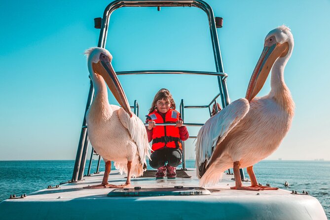 Mola Mola Marine Dolphin Cruise From the Walvis Bay Waterfront to Pelican Point - Meeting Point and Start Time