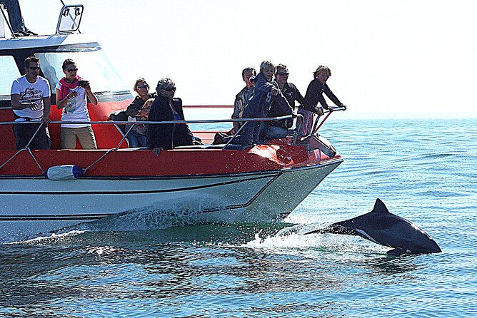 Mola Mola Marine Dolphin Cruise From the Walvis Bay Waterfront to Pelican Point - Frequently Asked Questions