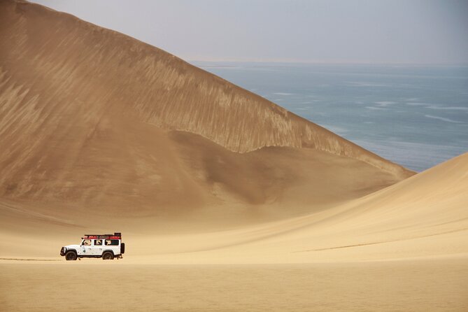 Mola Mola Marine Dune Experience - Meeting Point and Start Time