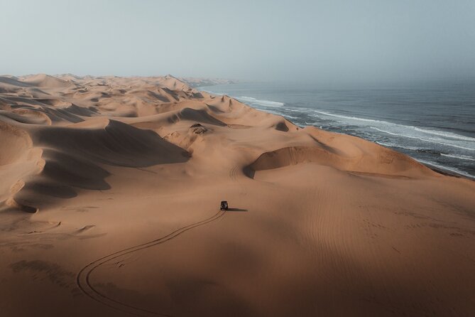 Mola Mola Marine Dune Experience - Maximum Travelers and Group Size