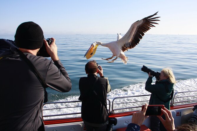Mola Mola Marine Dune Experience - Additional Information