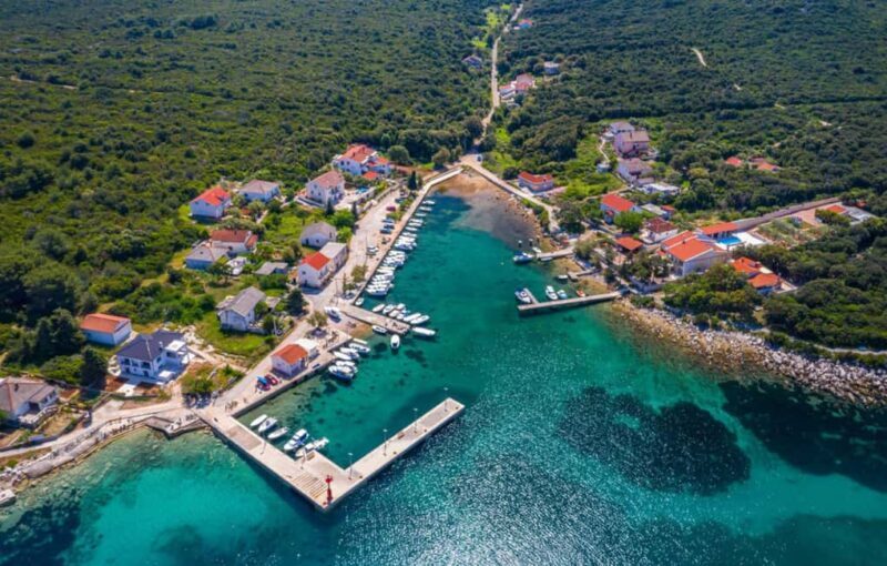 Molat Island Dolphin Watching Boat Tour 6hours TOUR - Good To Know