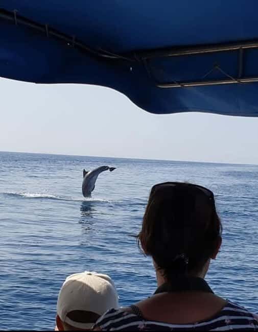 Molat Island Dolphin Watching Boat Tour 6hours TOUR - The Authentic Experience: What You’ll Actually Remember