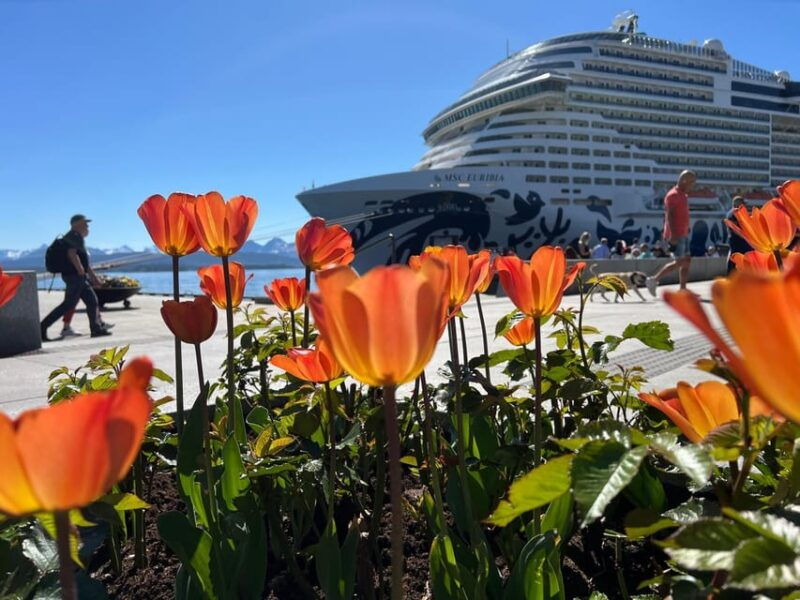 Molde: 2-Hour Guided City Walking Tour - Good To Know