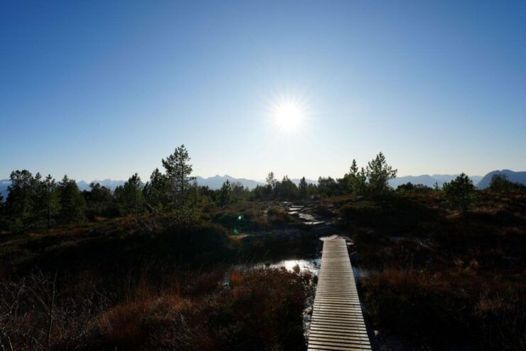 Molde - Guided Hike Along Mount Varden - Hike Description