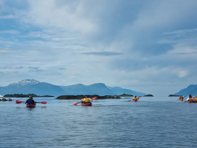 Molde - Guided Kayak Tour - What to Expect