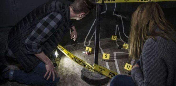Molde: Serial Killer Escape Room Game - Booking Information and Pricing