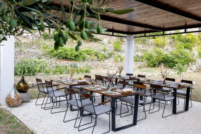 MOLENDINO Olive Oil Tasting & Historical Tour - Inclusions