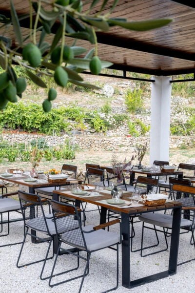 MOLENDINO Olive Oil Tasting & Historical Tour - Booking Details