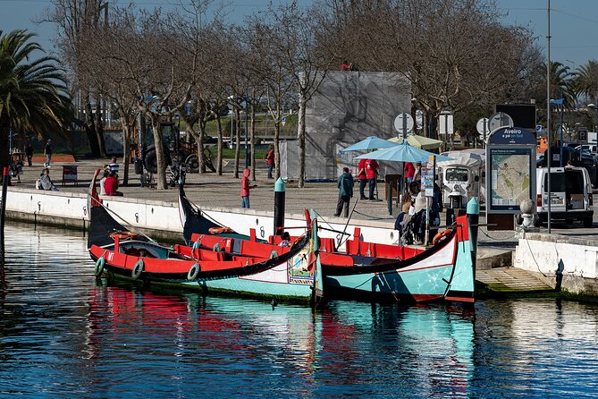 Moliceiro Boat Tour on the Ria De Aveiro - Overview and Experience