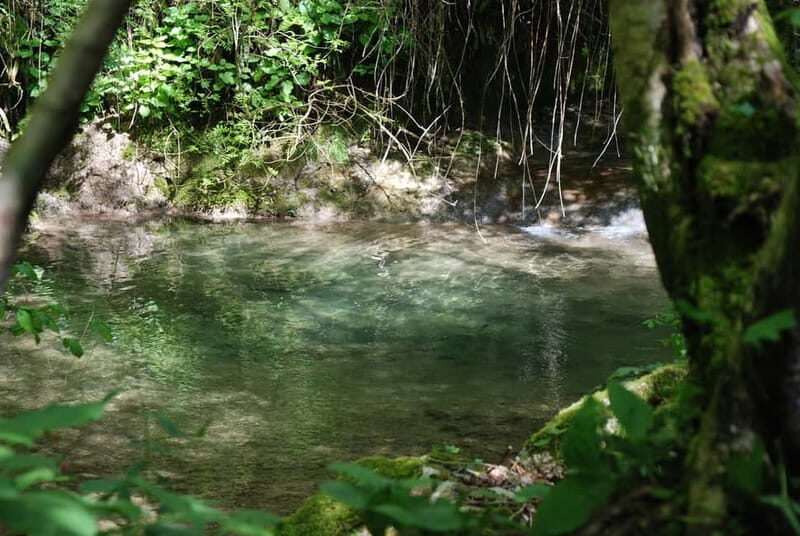 Molina Waterfall Park: tour and optional aperitif - How About the Cost and Overall Value?