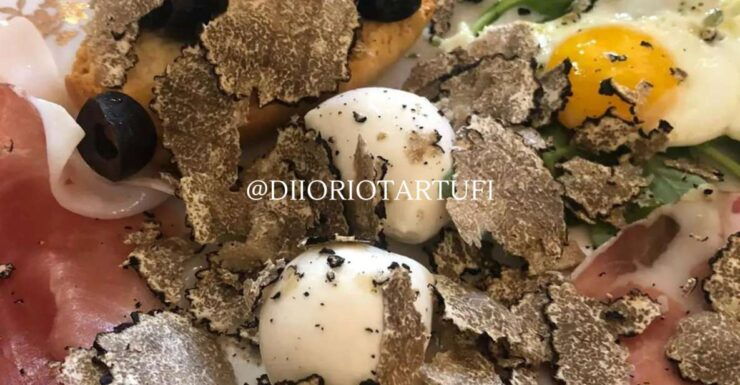 MOLISE TRUFFLE HUNTING WITH FOOD TASTING - Good To Know