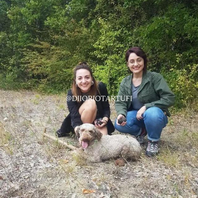 MOLISE TRUFFLE HUNTING WITH FOOD TASTING - Cancellation Policy and Options