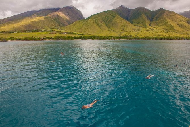 Molokini and Turtle Arches Snorkeling Trip From Maalaea Harbor - Positive Reviews and Disappointments