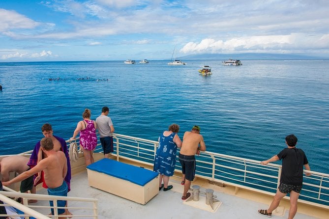 Molokini and Turtle Arches Snorkeling Trip From Maalaea Harbor - Eco-Tourism and Conservation