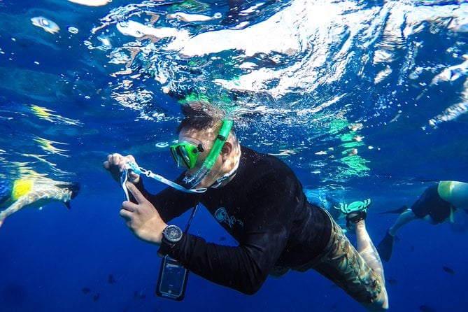 Molokini and Turtle Arches Snorkeling Trip From Maalaea Harbor - Recommendations