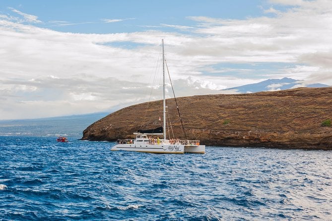 Molokini and Turtle Arches Snorkeling Trip From Maalaea Harbor - Customer Support