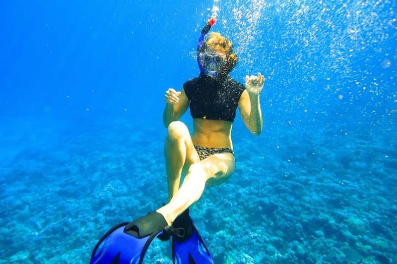 Molokini Crater and Turtle Arches Snorkel Tour in Maui - Breakfast, grilled lunch, and time between swims