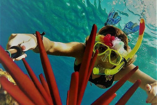 Molokini Crater Zodiak Adventure Snorkel and Turtle Cove Swim - Reviews