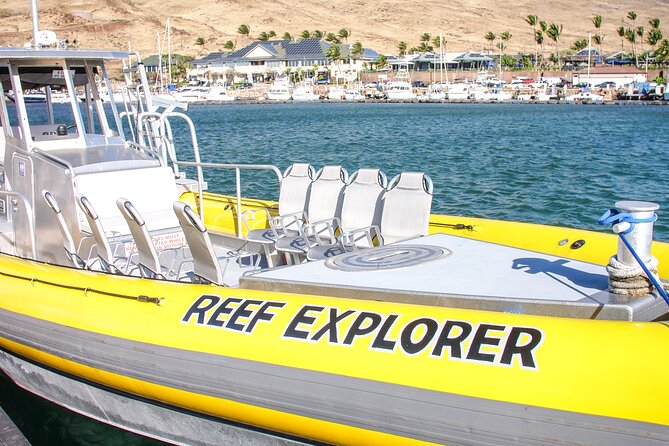 Molokini Crater Zodiak Adventure Snorkel and Turtle Cove Swim - The Sum Up