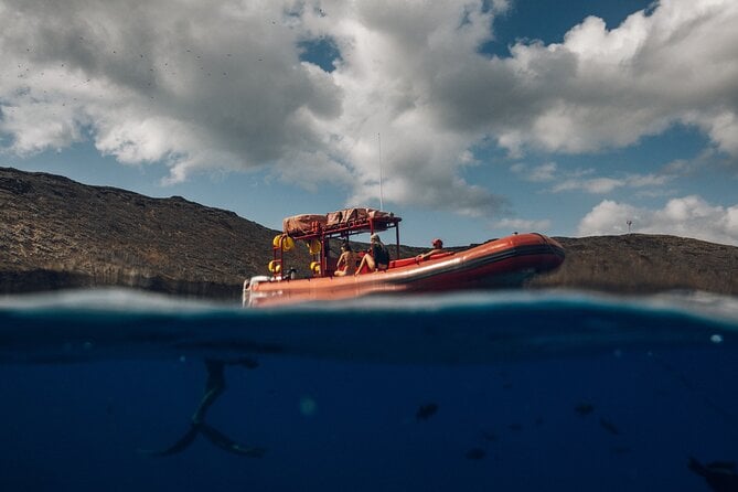 Molokini Snorkel, Green Sea Turtle Small-Group Tour From Maui - Tour Overview and Details