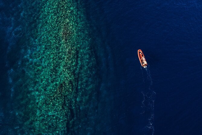 Molokini Snorkel, Green Sea Turtle Small-Group Tour From Maui - Tour Highlights and Snorkeling Experience