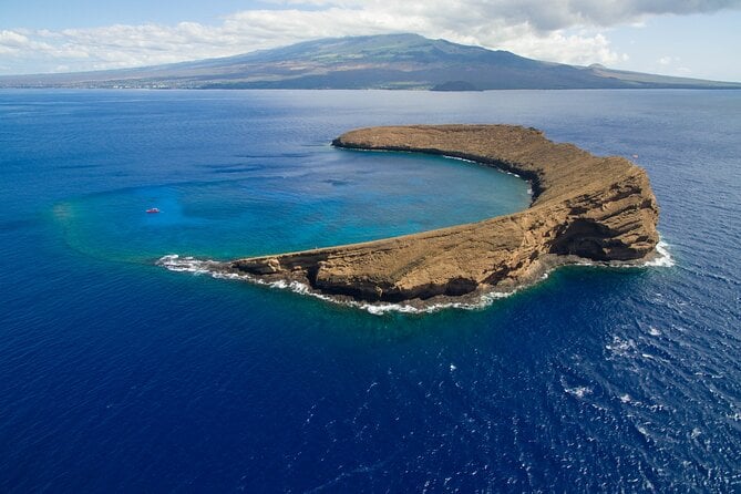 Molokini Snorkel, Green Sea Turtle Small-Group Tour From Maui - Customer Reviews and Feedback