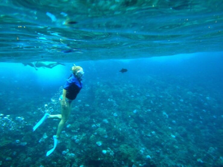 Molokini Snorkel & Slide 7AM - 12PM - Good To Know