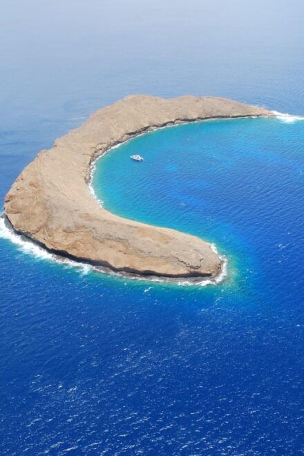 Molokini Snorkel & Slide 7AM - 12PM - Meeting Point