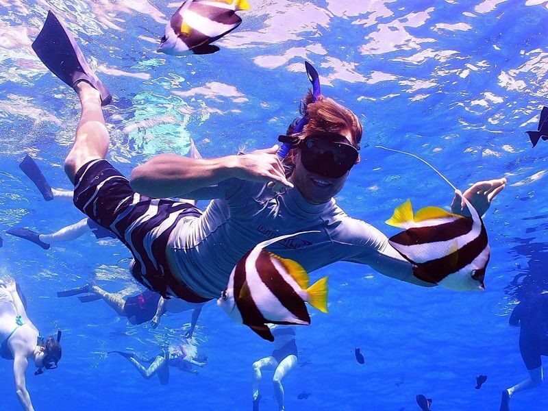 Molokini & Turtle Town Snorkel Adventure Aboard Calypso Catamaran - Price and value: what the fare covers