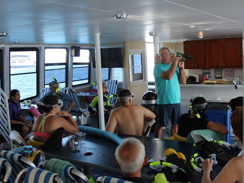 Molokini & Turtle Town Snorkel Adventure Aboard Calypso Catamaran - Who should book the Calypso snorkel trip?